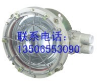 供应BXL-100防爆吸顶灯